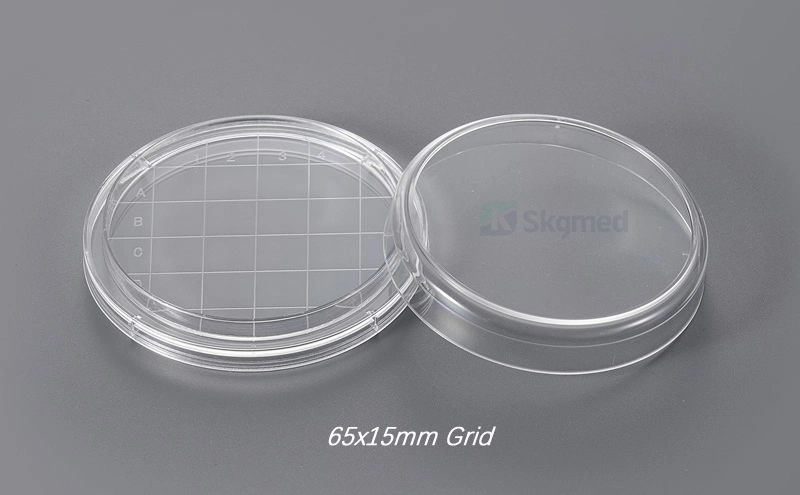 6 Wells Cell Culture Plate