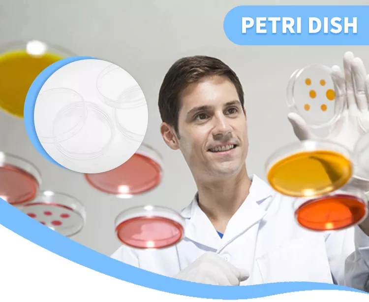 Disposable Transparent Plastic PS 90mm Petri Dish