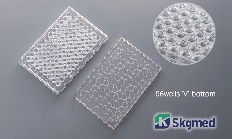 6 Wells Cell Culture Plate